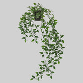 FEJKA Artificial potted plant, in/outdoor/hanging 9 cm